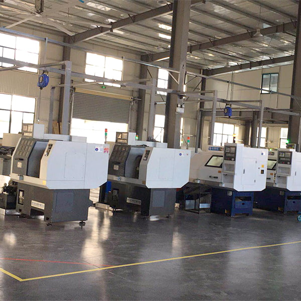 Standardized Workshop